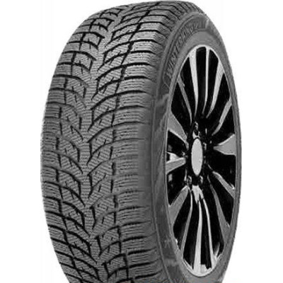 Doublestar WINTERKING DW08 225/45 R17 94H XL
