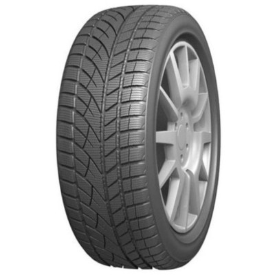 Roadx RXFrost WH01 205/55 R16 91H