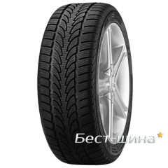 Nokian WR 225/60 R16 98H