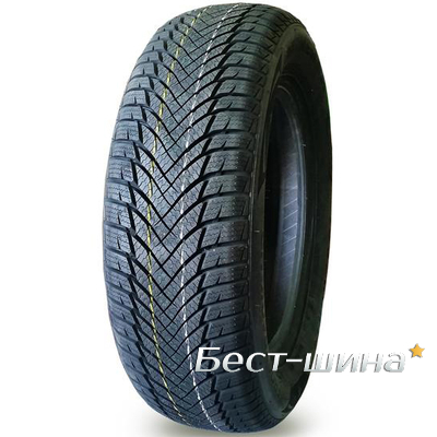 Minerva Frostrack HP 175/65 R13 80T